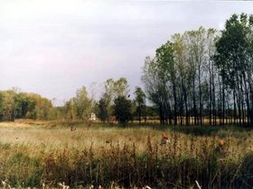 hunting0006.jpg