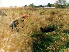 hunting0009.jpg