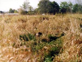 hunting0010.jpg