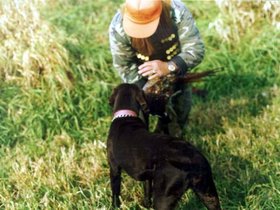 hunting0011.jpg