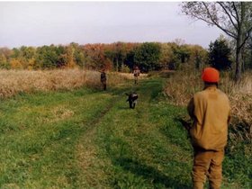 hunting0013.jpg