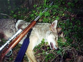 hunting0023.jpg