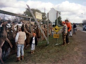 hunting0011.jpg