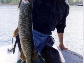 fishing0002.jpg