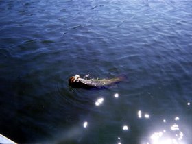 fishing0008.jpg