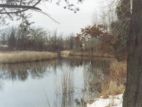 huntcamp0002.jpg