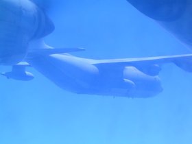 Pictures Of Flying